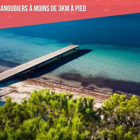 Cosy - Climatise - 2 Pas Du Port - Place Aux Herbes Apartment *
