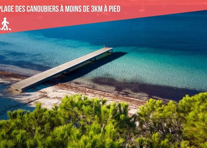 Cosy - Climatise - 2 Pas Du Port - Place Aux Herbes Apartment *